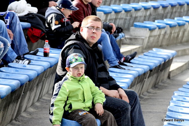 Byki z kompletem (zdjęcia)