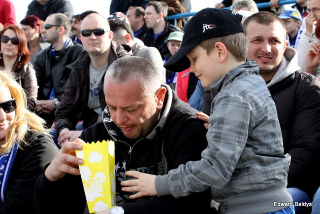 Byki z kompletem (zdjęcia)