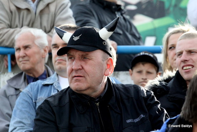 Byki z kompletem (zdjęcia)