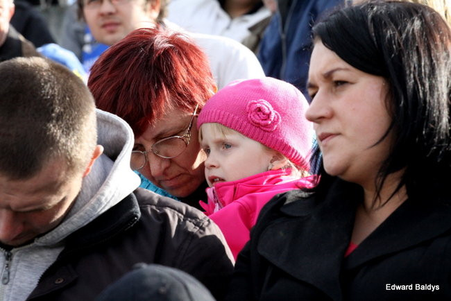 Byki z kompletem (zdjęcia)