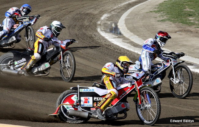 Byki z kompletem (zdjęcia)