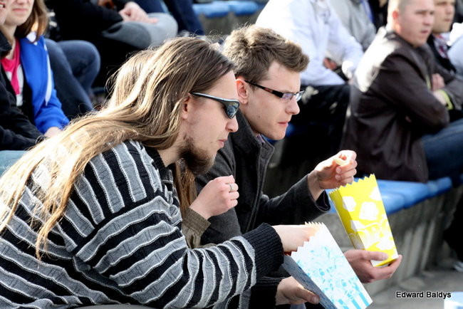 Byki z kompletem (zdjęcia)