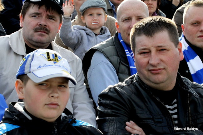 Byki z kompletem (zdjęcia)