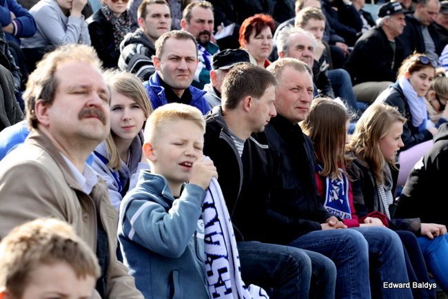 Byki z kompletem (zdjęcia)