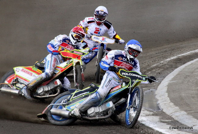 Byki z kompletem (zdjęcia)