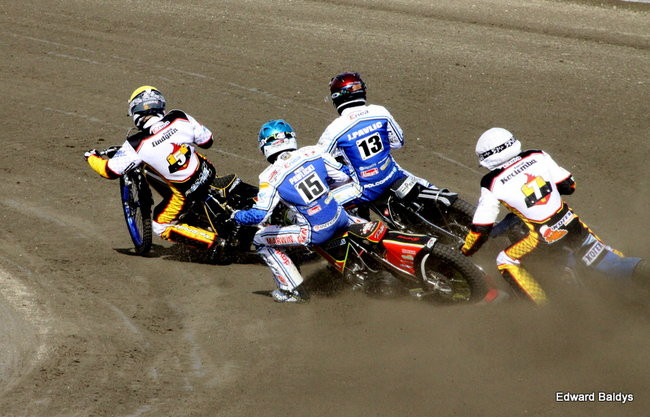 Byki z kompletem (zdjęcia)