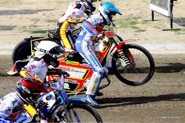 Byki z kompletem (zdjęcia)