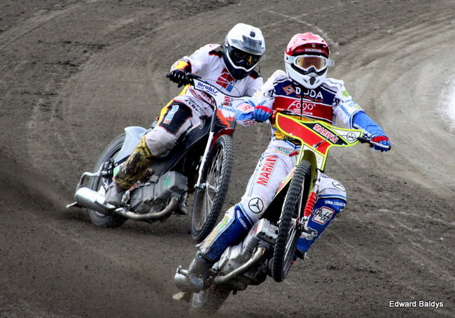 Byki z kompletem (zdjęcia)