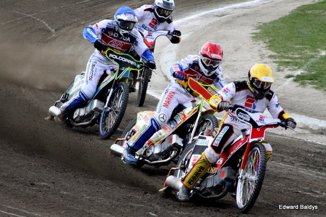 Byki z kompletem (zdjęcia)