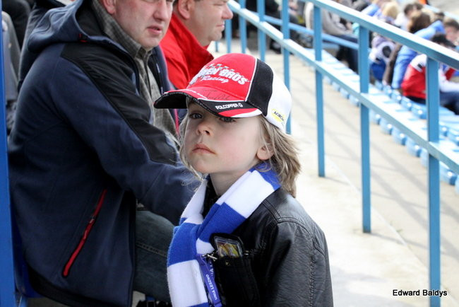 Byki z kompletem (zdjęcia)