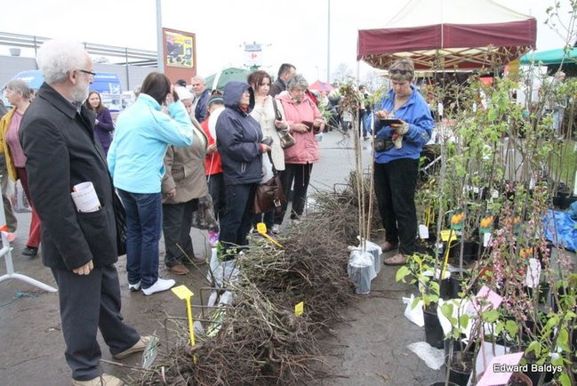 Targi Dom i Ogród w Lesznie (zdjęcia)