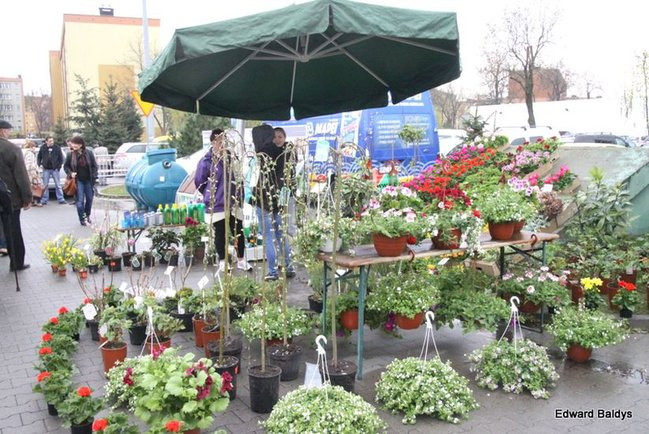 Targi Dom i Ogród w Lesznie (zdjęcia)