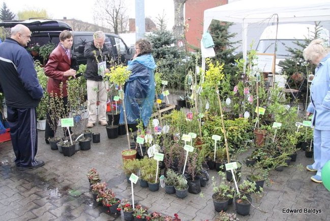 Targi Dom i Ogród w Lesznie (zdjęcia)