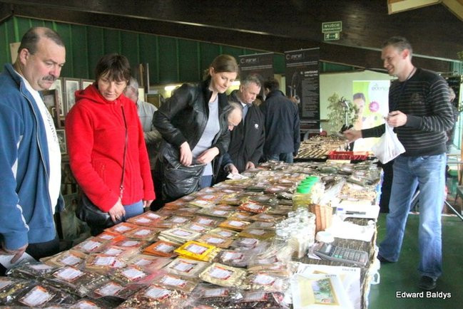 Targi Dom i Ogród w Lesznie (zdjęcia)