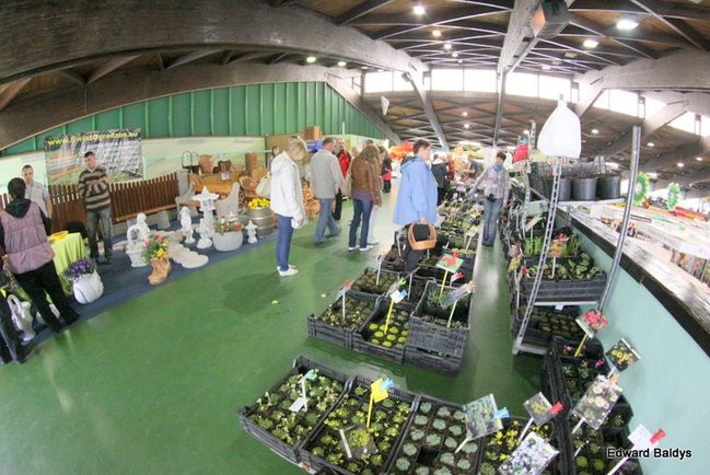 Targi Dom i Ogród w Lesznie (zdjęcia)