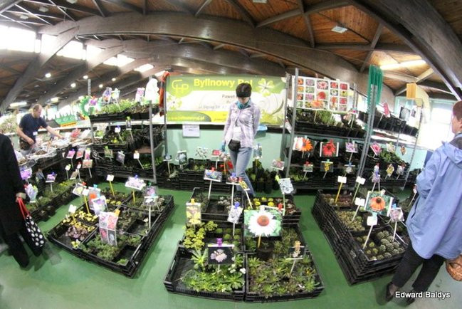 Targi Dom i Ogród w Lesznie (zdjęcia)