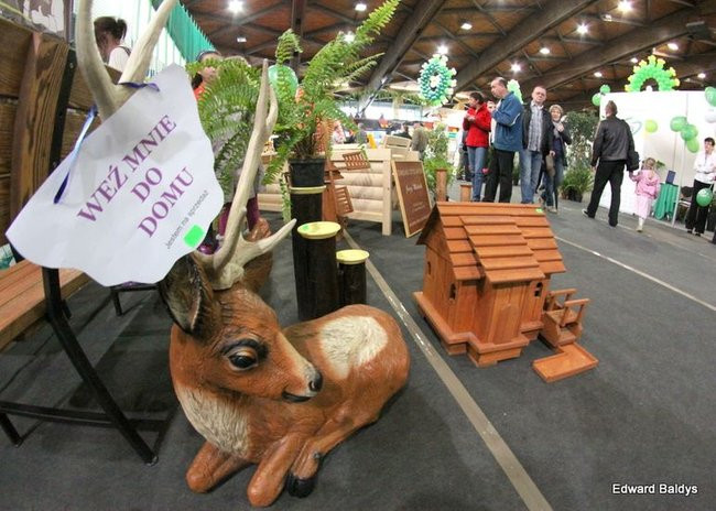 Targi Dom i Ogród w Lesznie (zdjęcia)