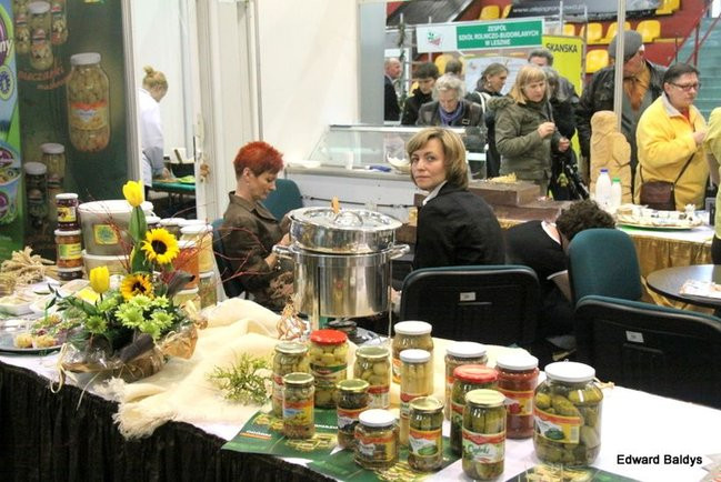 Targi Dom i Ogród w Lesznie (zdjęcia)