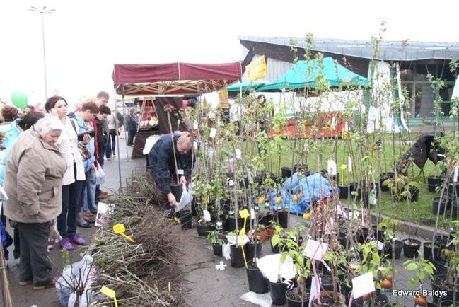 Targi Dom i Ogród w Lesznie (zdjęcia)