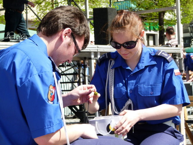 Starówka po szlifowaniu (zdjęcia, film)