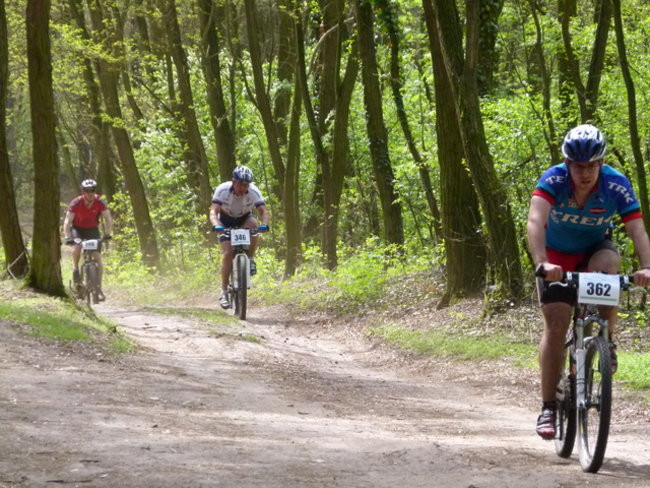 Po piaszczystych górkach (zdjęcia)