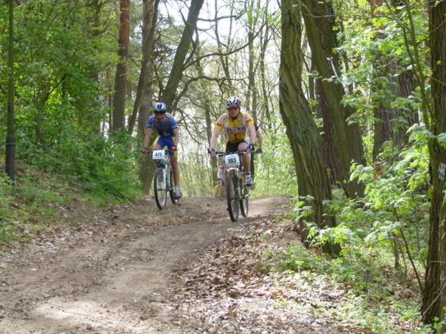 Po piaszczystych górkach (zdjęcia)