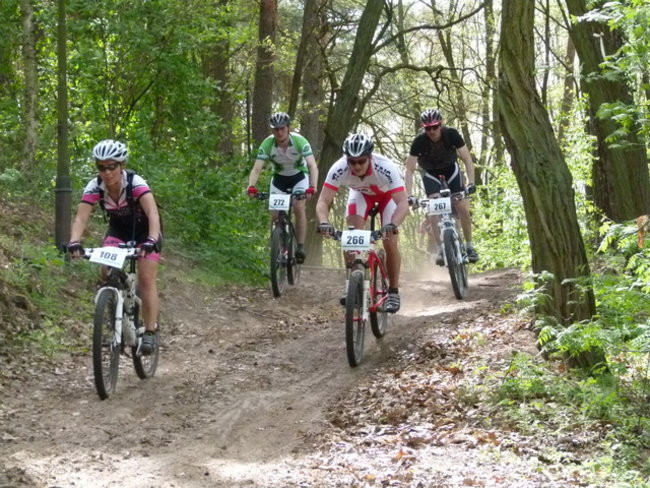 Po piaszczystych górkach (zdjęcia)