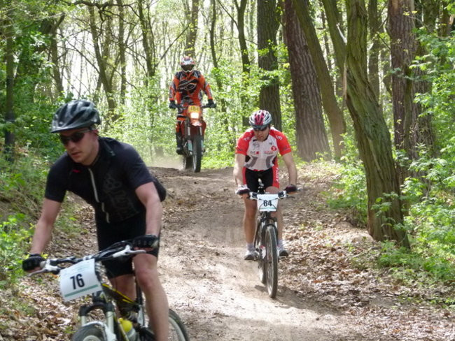 Po piaszczystych górkach (zdjęcia)