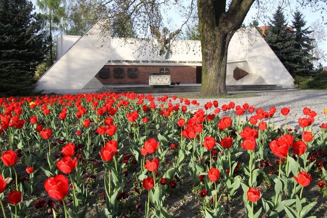 Leszno w tulipanach (zdjęcia)