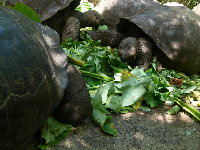 Korespondencja z Galapagos (zdjęcia)