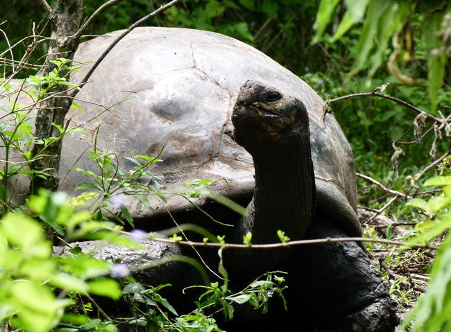 Korespondencja z Galapagos (zdjęcia)
