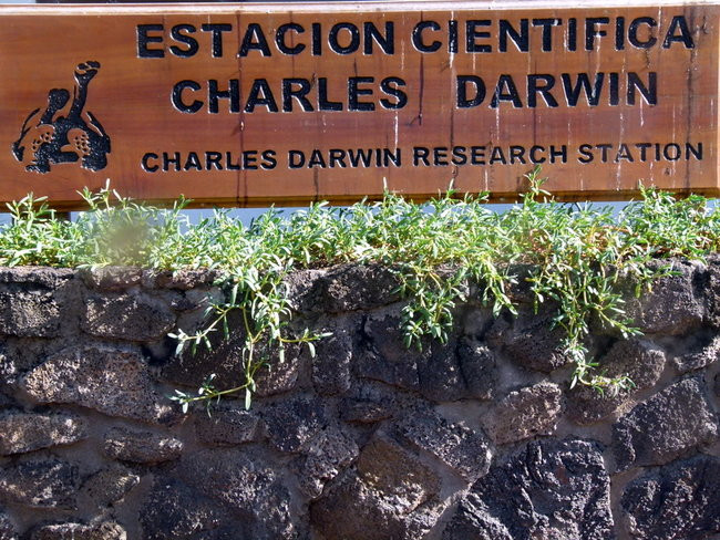 Korespondencja z Galapagos (zdjęcia)