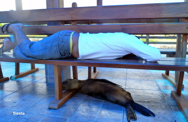 Korespondencja z Galapagos (zdjęcia)