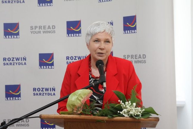 Liść miłorzębu wręczony (zdjęcia)