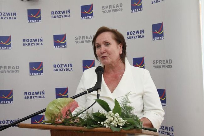 Liść miłorzębu wręczony (zdjęcia)