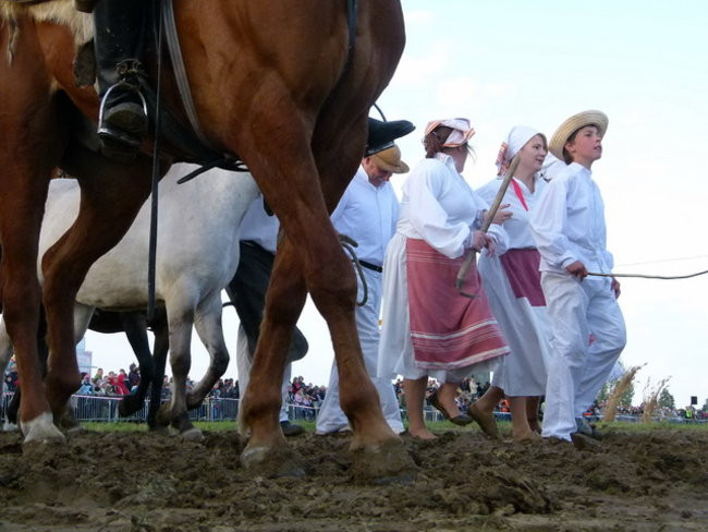 Tatarzy w Bukówcu (zdjęcia)