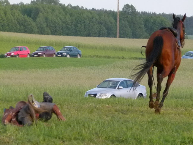 Tatarzy w Bukówcu (zdjęcia)