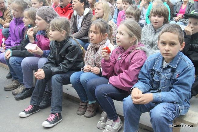 Jubileuszowy festyn SP nr 2 (zdjęcia)