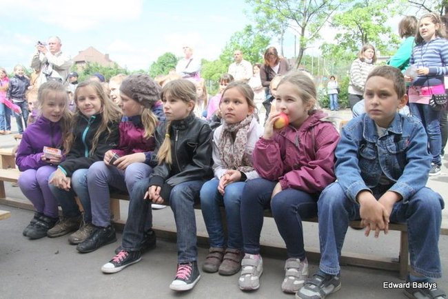 Jubileuszowy festyn SP nr 2 (zdjęcia)