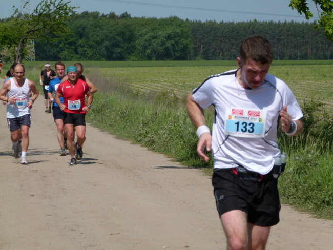 Półmaraton w Wilkowicach (zdjęcia)