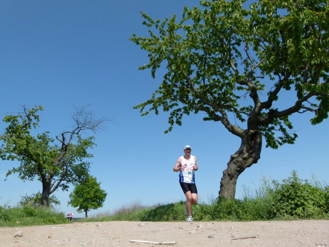 Półmaraton w Wilkowicach (zdjęcia)