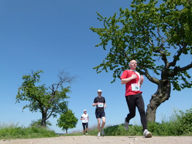Półmaraton w Wilkowicach (zdjęcia)