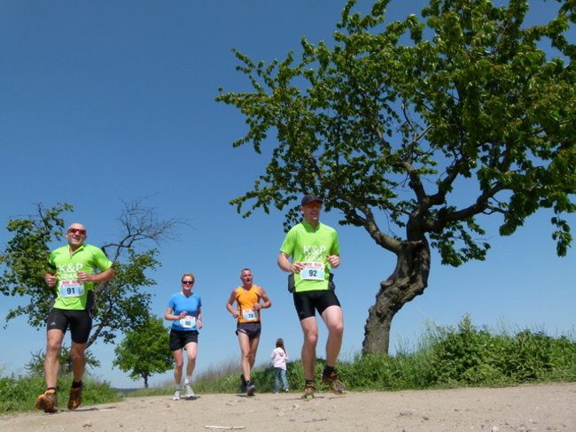 Półmaraton w Wilkowicach (zdjęcia)