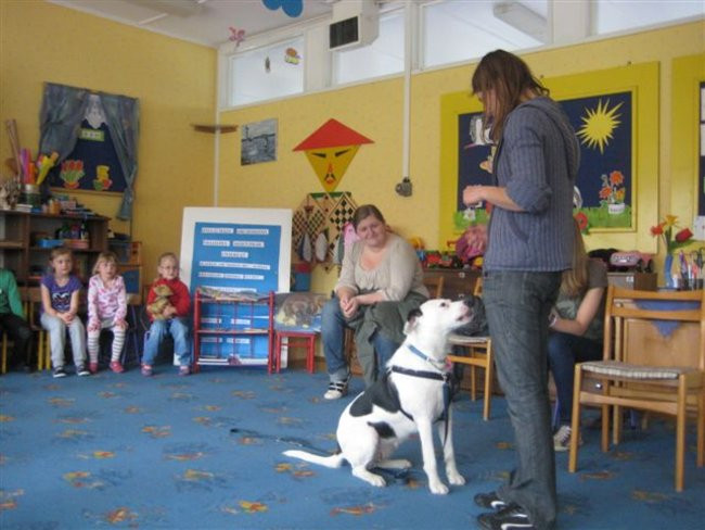 Dzieci zebrały karmę dla zwierząt  (zdjęcia)