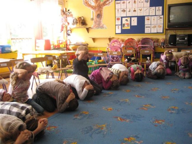 Dzieci zebrały karmę dla zwierząt  (zdjęcia)