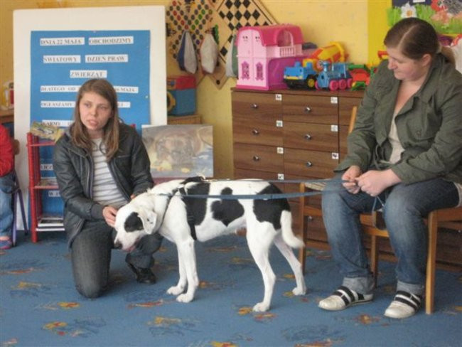 Dzieci zebrały karmę dla zwierząt  (zdjęcia)