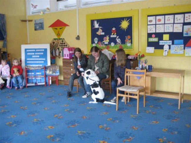 Dzieci zebrały karmę dla zwierząt  (zdjęcia)