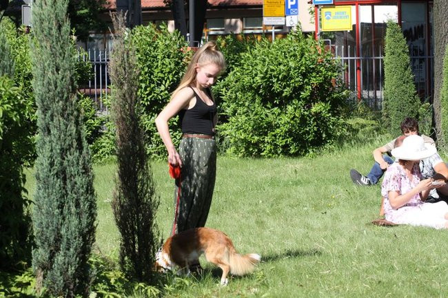 II Muzyczna Majówka (zdjęcia)