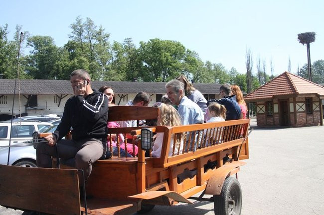 Bawili się w Jeziorkach (zdjęcia)