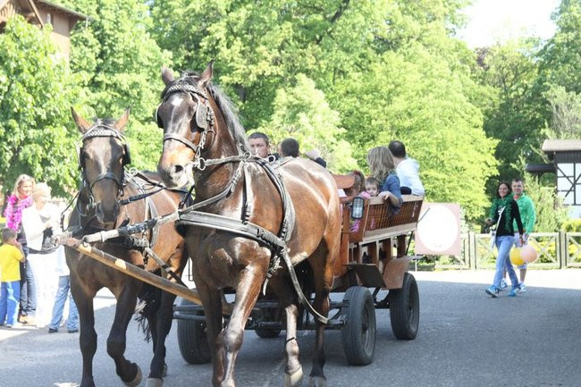 Bawili się w Jeziorkach (zdjęcia)